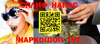 Альфа ПВП Малгобек